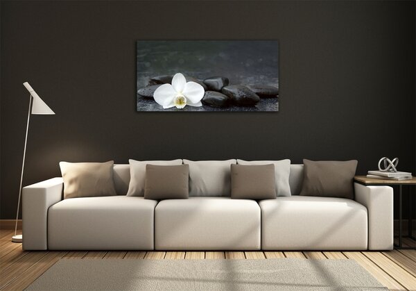 Foto obraz fotografie na skle Orchidej osh-113617594