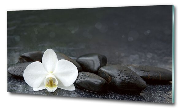 Foto obraz fotografie na skle Orchidej osh-113617594