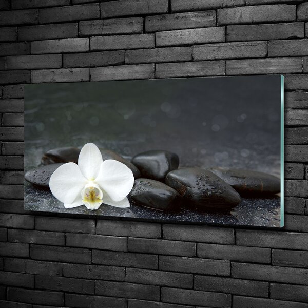 Foto obraz fotografie na skle Orchidej osh-113617594