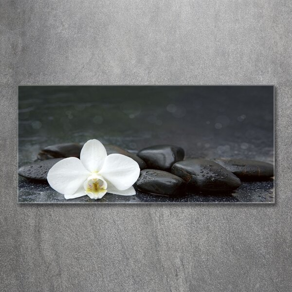 Foto obraz fotografie na skle Orchidej osh-113617594