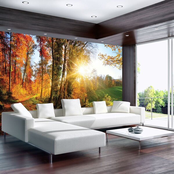 Fototapeta - Podzimní les (254x184 cm)