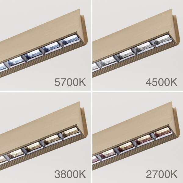 Orion HL 6-1716/120 - LED Stmívatelný lustr na lanku TARA LED/44W/230V zlatá