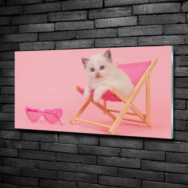 Foto obraz skleněný horizontální Kočka na lehátku osh-116809359