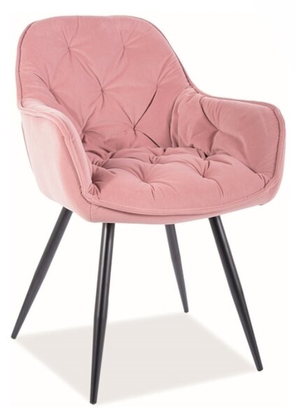 Jídelní židle - CHERRY Matt Velvet, různé barvy na výběr Čalounění: růžová (63)