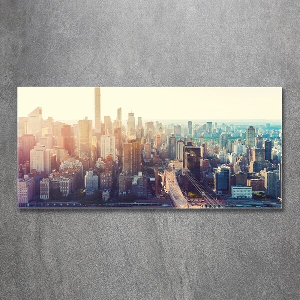 Foto obraz fotografie na skle New York ptačí pohled osh-117684952