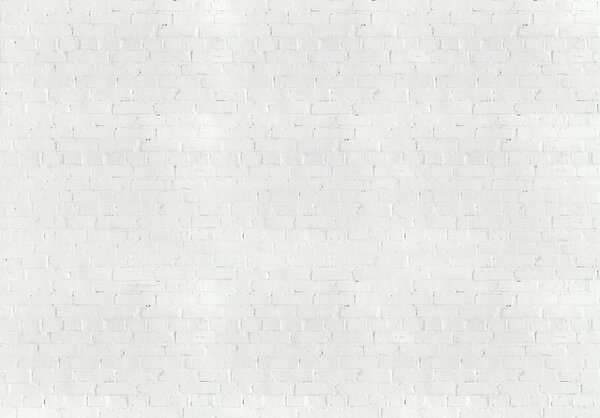 Fototapeta - Bílé cihly (152,5x104 cm)