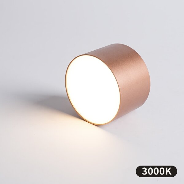 BRILAGI - Koupelnové stropní svítidlo FORIS LED/9W/230V pr. 9 cm bronzová IP44