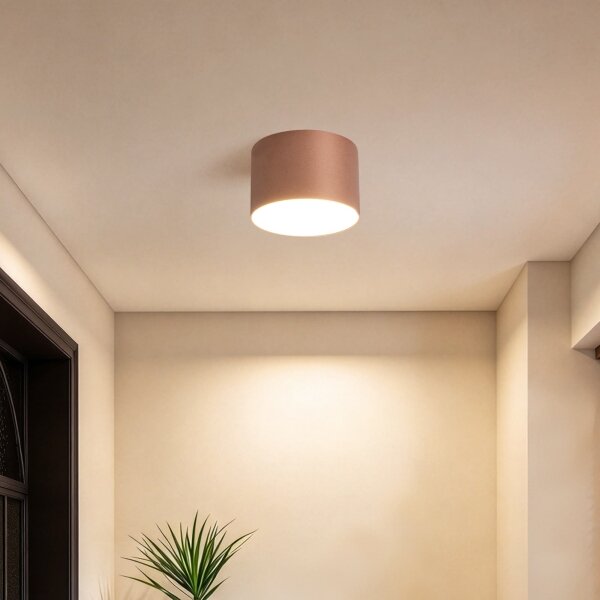 BRILAGI - Koupelnové stropní svítidlo FORIS LED/9W/230V pr. 9 cm bronzová IP44