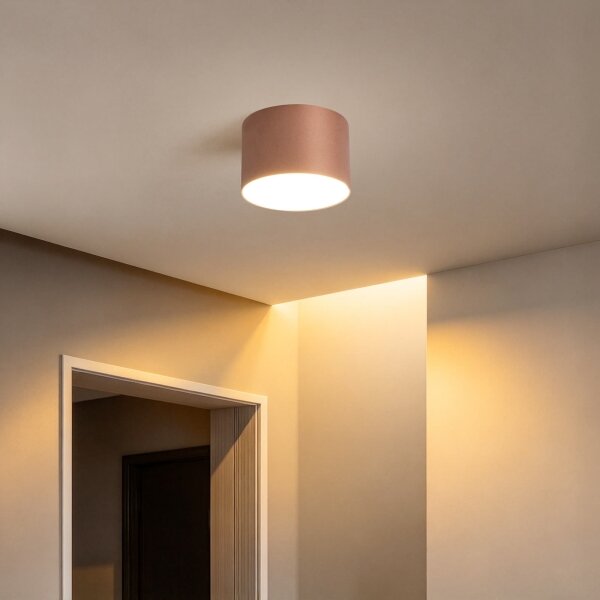 BRILAGI - Koupelnové stropní svítidlo FORIS LED/9W/230V pr. 9 cm bronzová IP44