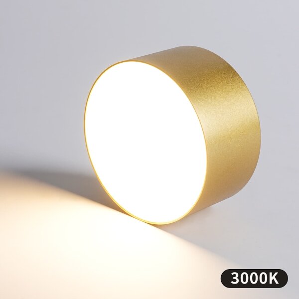 BRILAGI - LED Koupelnové stropní svítidlo FORIS LED/14W/230V pr. 12 cm zlatá IP4