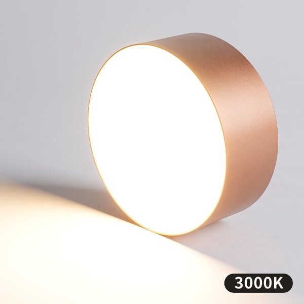 BRILAGI - Koupelnové stropní svítidlo FORIS LED/20W/230V pr. 15 cm bronzová IP44