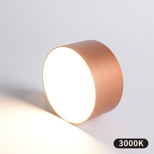 BRILAGI -LED Koupelnové stropní svítidlo FORIS LED/14W/230V pr. 12 cm bronz IP44