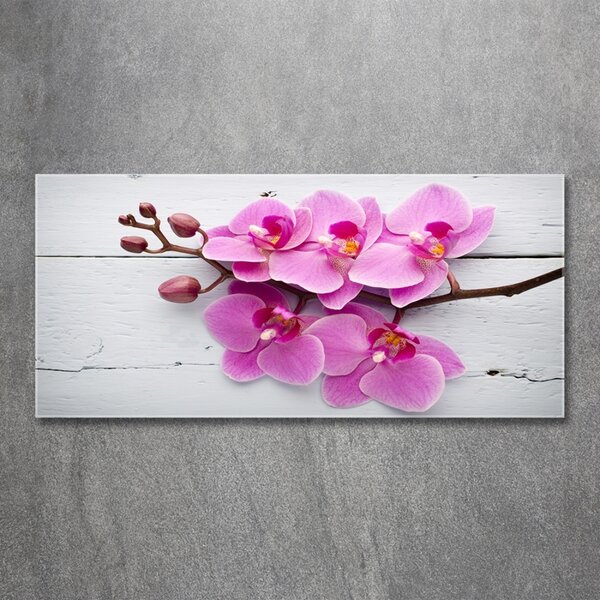 Foto obraz skleněný horizontální Orchidej a na stromě osh-118409675