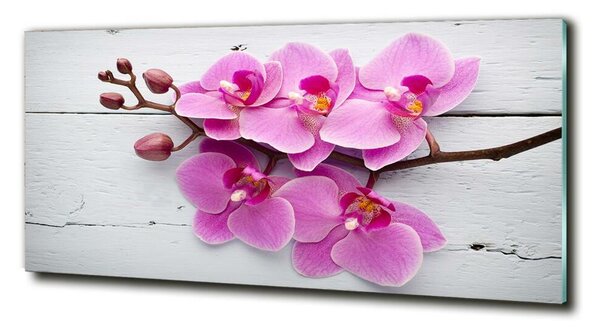 Foto obraz skleněný horizontální Orchidej a na stromě osh-118409675