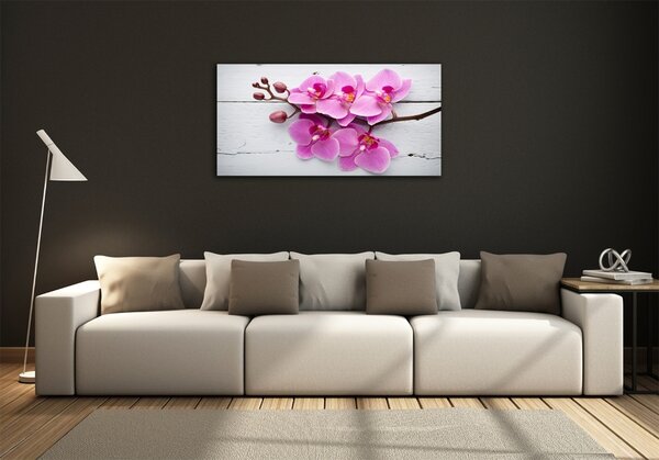 Foto obraz skleněný horizontální Orchidej a na stromě osh-118409675