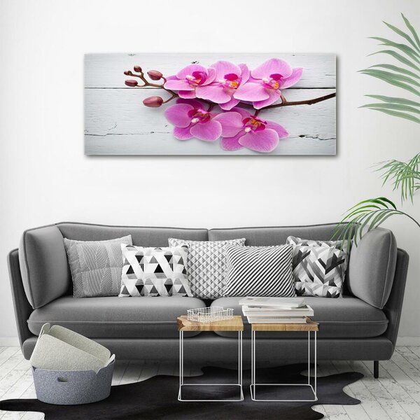 Foto obraz skleněný horizontální Orchidej a na stromě osh-118409675