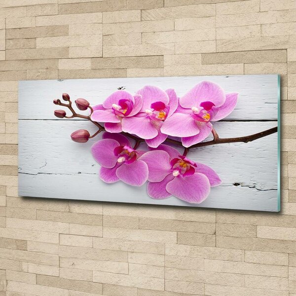 Foto obraz skleněný horizontální Orchidej a na stromě osh-118409675