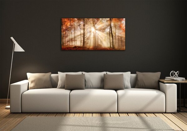 Foto obraz fotografie na skle Mlha v lese podzim osh-119225469
