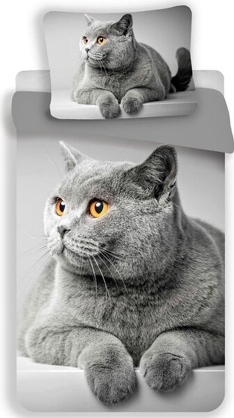 Povlečení micro 3D Grey cat 140x200+70x90 cm