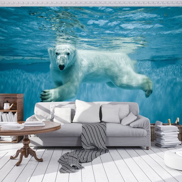 Fototapeta - Lední medvěd (254x184 cm)