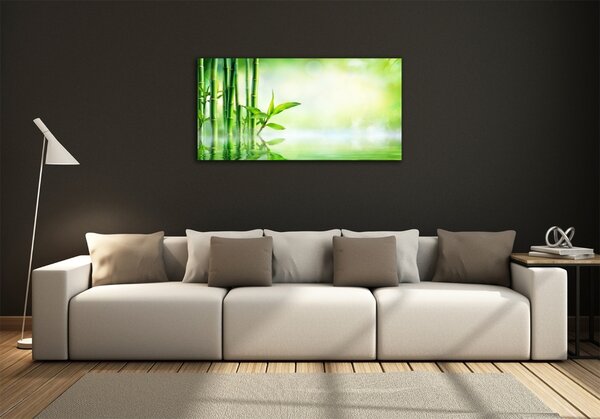 Foto obraz sklo tvrzené Bambus osh-120328411