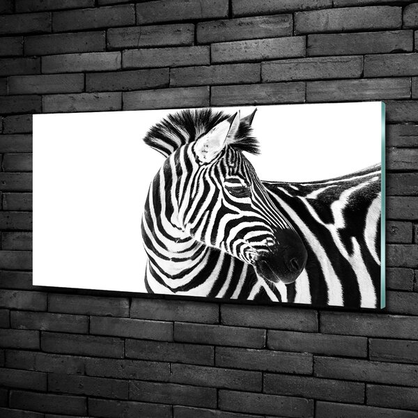 Foto obraz sklo tvrzené Zebra ve sněhu osh-121577688