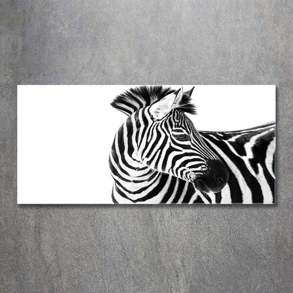 Foto obraz sklo tvrzené Zebra ve sněhu osh-121577688