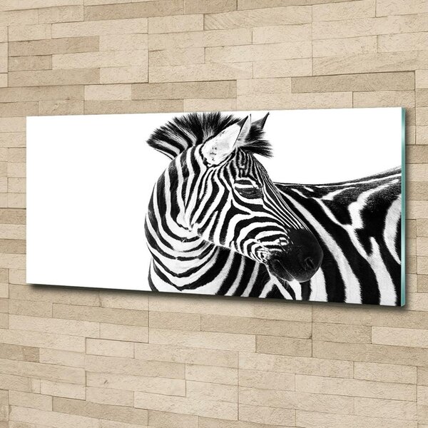 Foto obraz sklo tvrzené Zebra ve sněhu osh-121577688