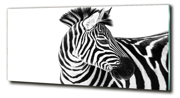 Foto obraz sklo tvrzené Zebra ve sněhu osh-121577688