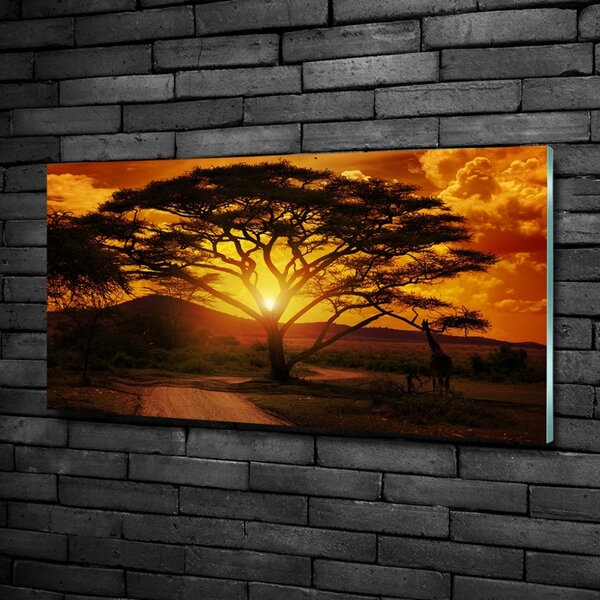 Foto obraz fotografie na skle Západ Afrika osh-12172283