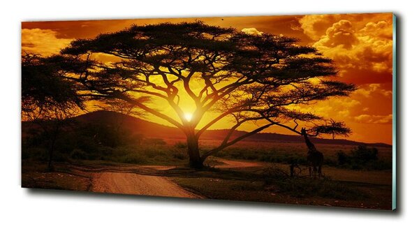 Foto obraz fotografie na skle Západ Afrika osh-12172283