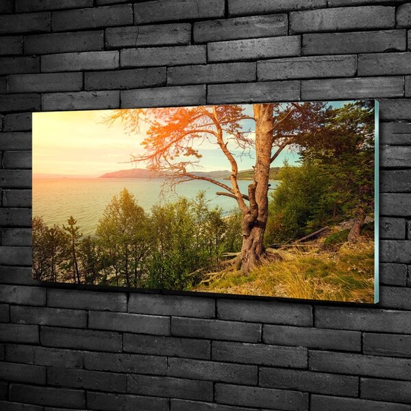 Foto obraz skleněný horizontální Jezero Skandinávie osh-121778519