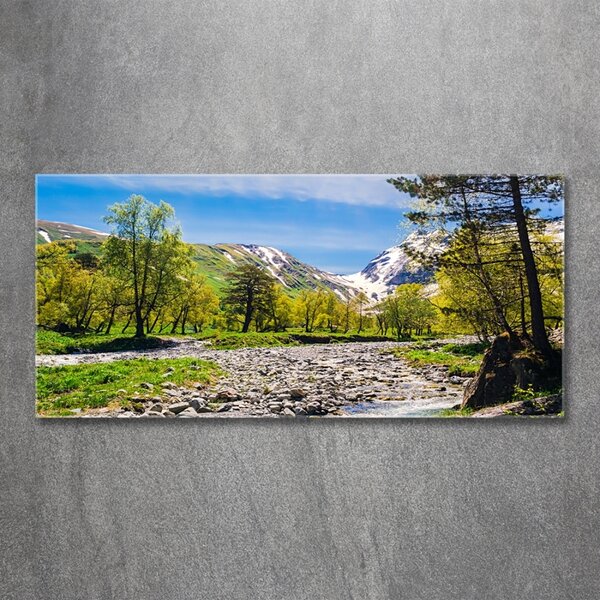 Foto obraz fotografie na skle Řeka v horách osh-121803886