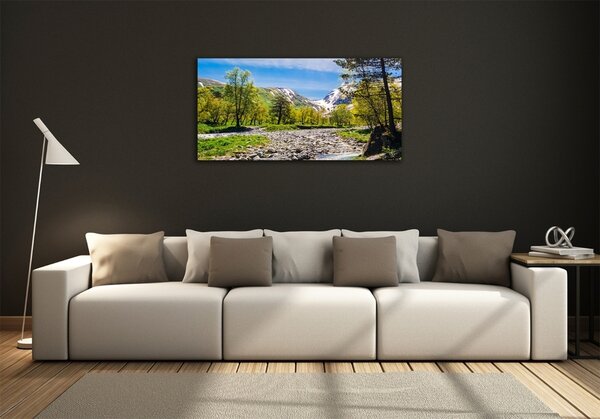 Foto obraz fotografie na skle Řeka v horách osh-121803886