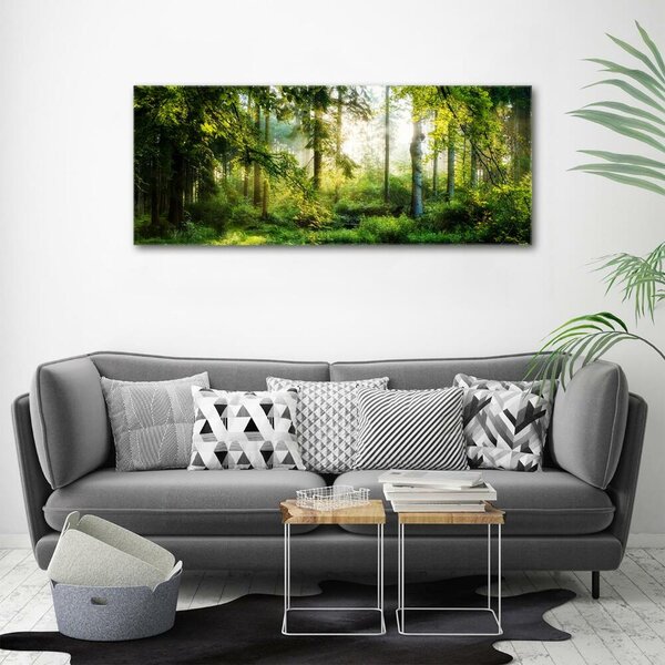 Foto obraz fotografie na skle Ranní slunce les osh-122163677