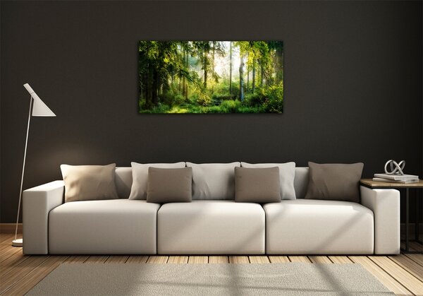 Foto obraz fotografie na skle Ranní slunce les osh-122163677