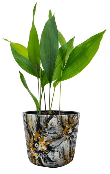 Ter Steege Obal Marigold ash D16 H14