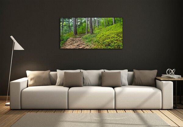 Foto obraz fotografie na skle Lesní stezka osh-122173226