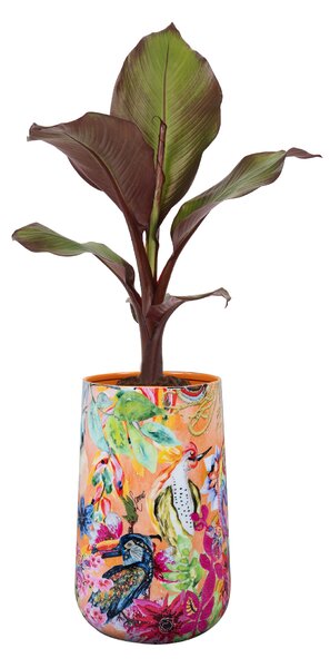 Ter Steege Sada 3 obalů Tropical twist D20 H29