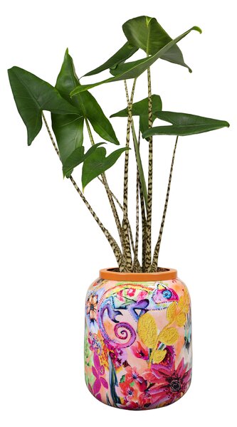 Ter Steege Obal Tropical twist D21 H24