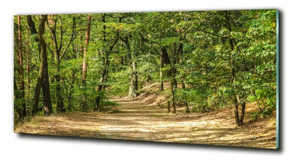 Foto obraz skleněný horizontální Lesní stezka osh-122510819