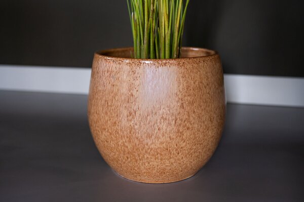 Ter Steege Obal hailey camel D33 H30