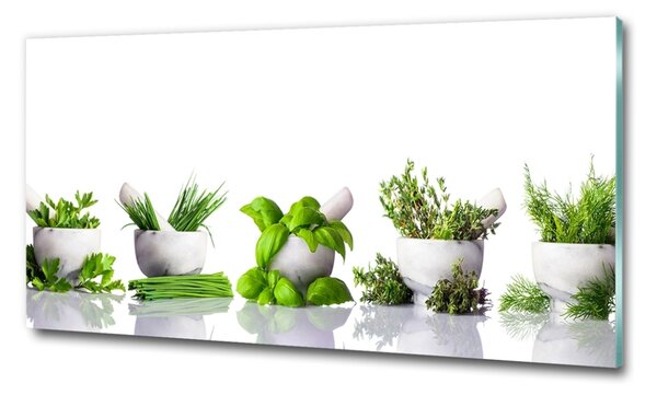Fotoobraz na skle Byliny osh-122892380