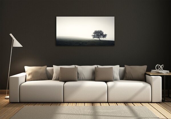 Foto obraz fotografie na skle Strom osh-122846887