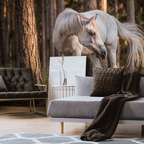 Fototapeta - Bílý kůň v lese (254x184 cm)