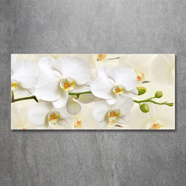 Fotoobraz na skle Orchidej osh-123330197