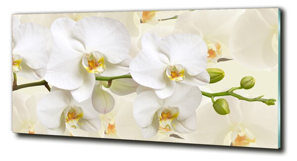 Fotoobraz na skle Orchidej osh-123330197