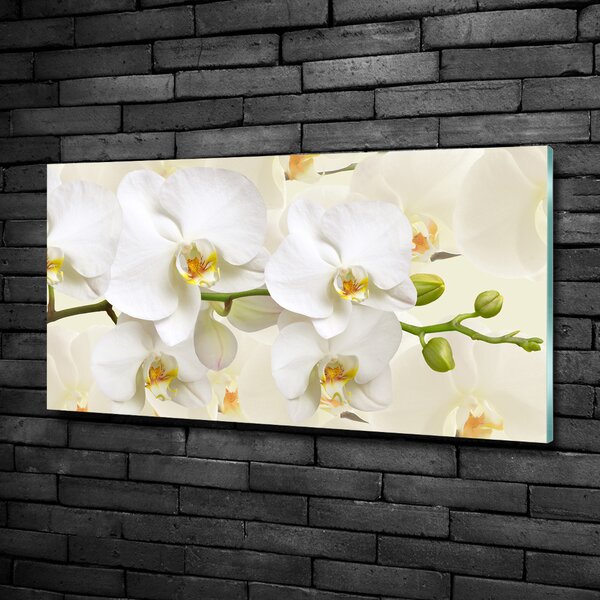 Fotoobraz na skle Orchidej osh-123330197