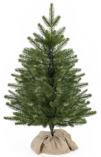 Vánoční stromek Smrk Premium kavkazský 60 cm
