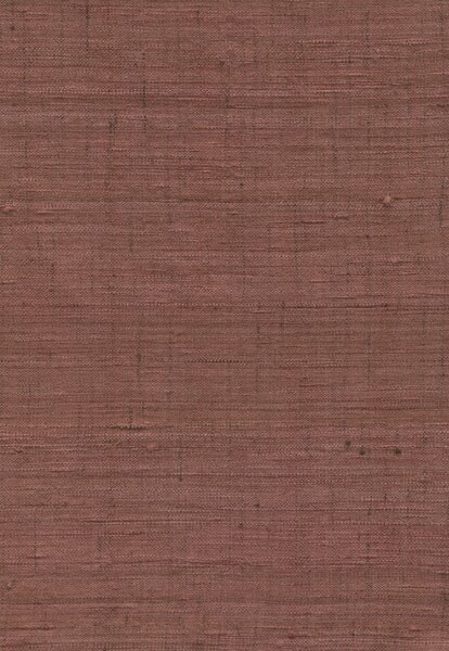 86540, Wild Silk, Arte